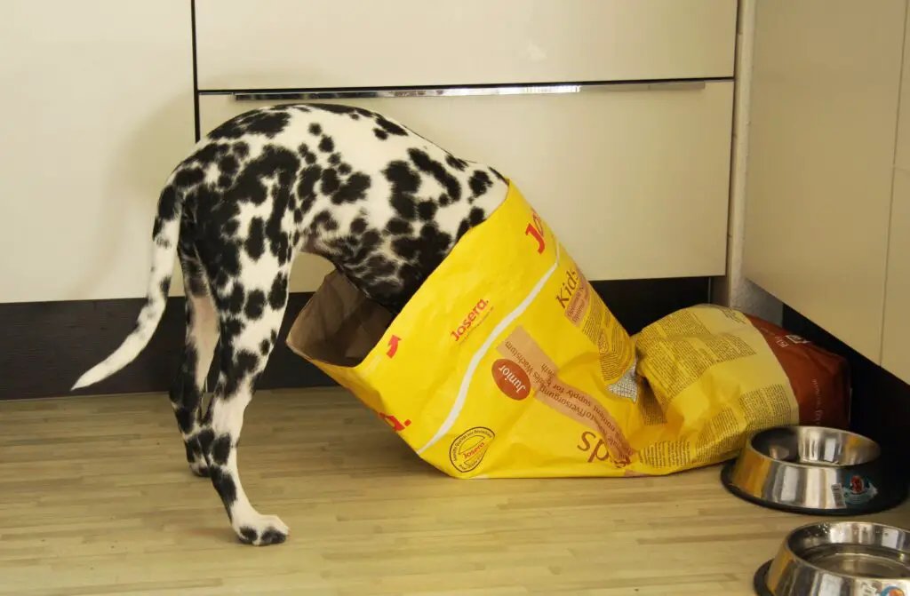 How to Open a Dog Food Bag Ted Dog Mil