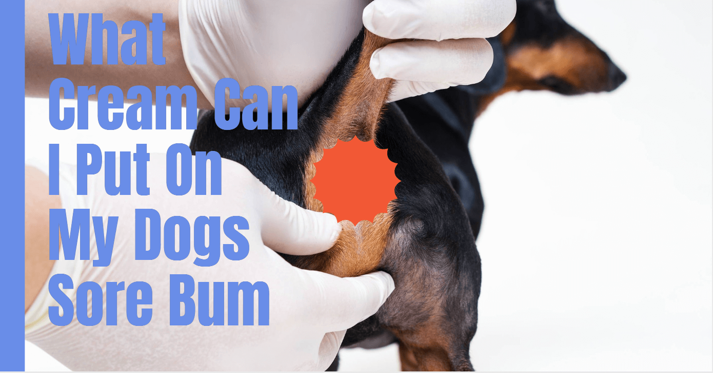 What Cream Can I Put On My Dogs Sore Bum