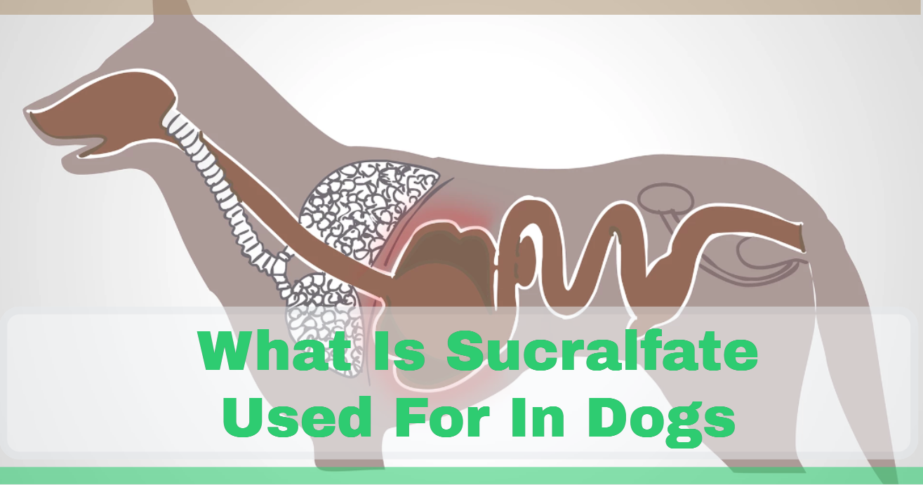 what is sucralfate used for in dogs