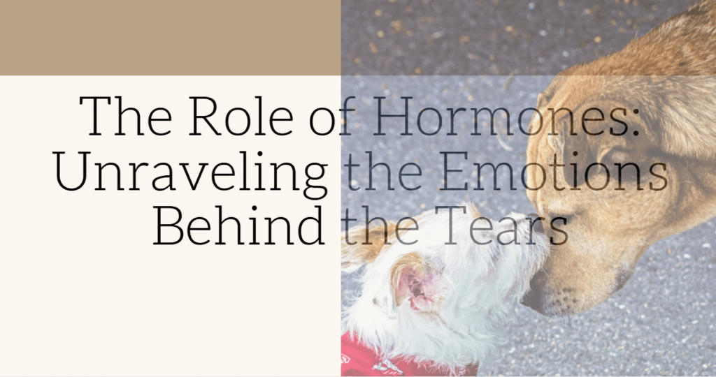 The Role of Hormones: Unraveling the Emotions Behind the Tears