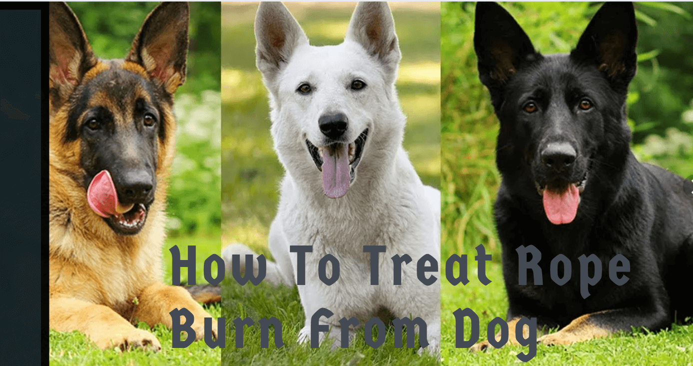 how to treat rope burn from dog leash