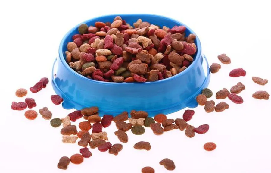 dog food in a bowl