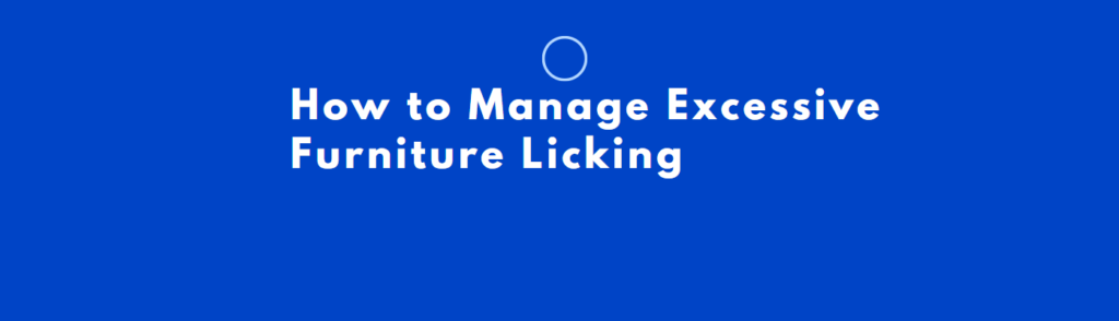 How to Manage Excessive Furniture Licking