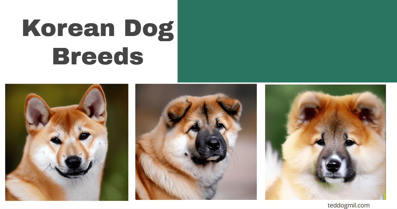 Korean Dog Breeds
