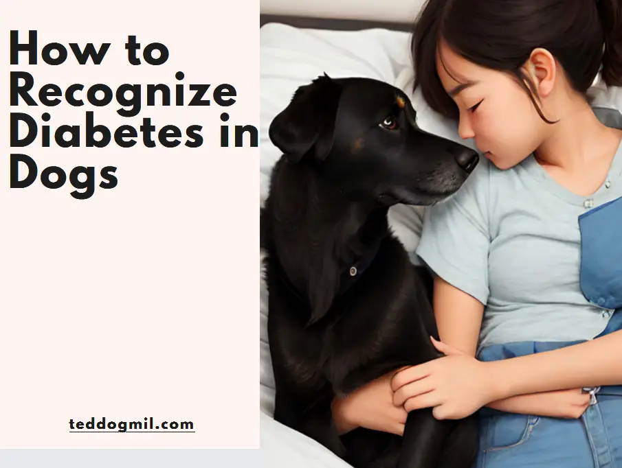 How to Recognize Diabetes in Dogs
