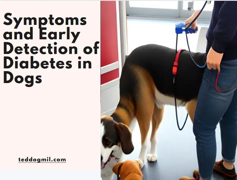 Symptoms and Early Detection of Diabetes in Dogs