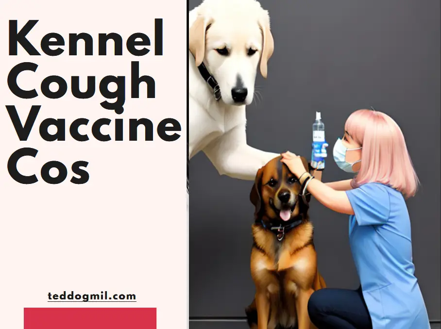 Kennel Cough Vaccine Cos