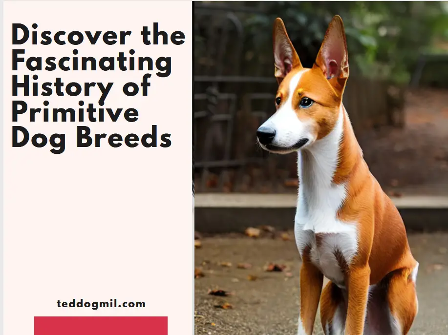 Discover the Fascinating History of Primitive Dog Breeds