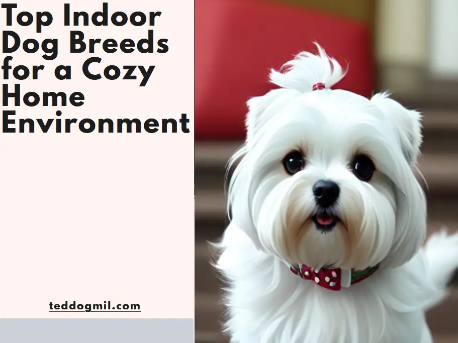 Top Indoor Dog Breeds for a Cozy Home Environment
